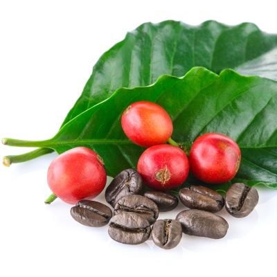 Arabica