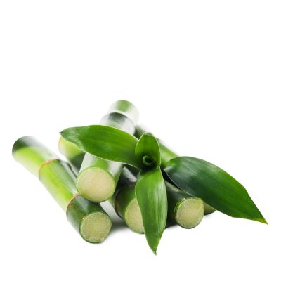 Bamboo