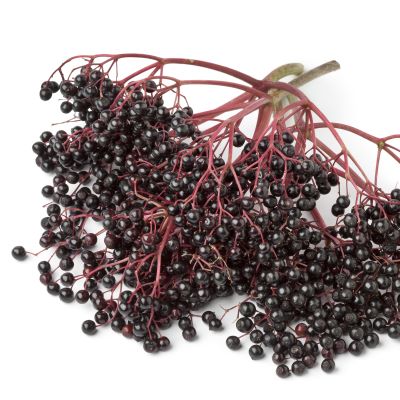 Elderberry