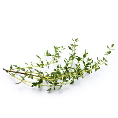 Thyme