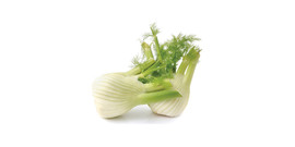 Fennel tea