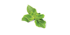 Mint tea