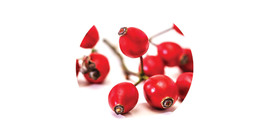 Rosehip tea
