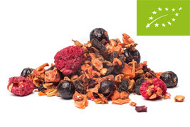 Fruit tea BIO