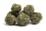 Chinese herbs