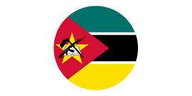 Mozambique tea