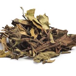 Bai Mu Tan – White Tea