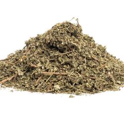 Minthostachys Setosa - Herb