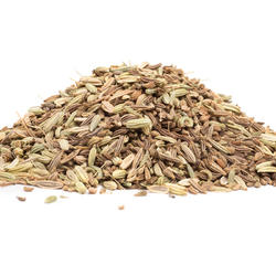 Herbs for Nursing Women – Herbal Infusion
