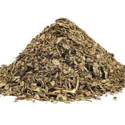 Basil Leaves (Ocimum Basilicum) – Herb
