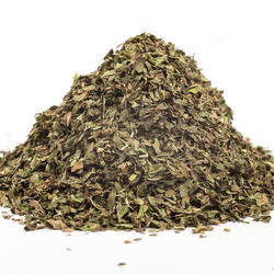 False Apple Mint (Mentha Rotundifolia) – Herb