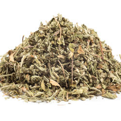 Damiana (Turnera Diffusa) – Herb