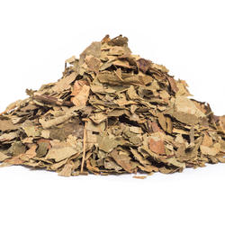 Achiote (Bixa Orellana) – Herb