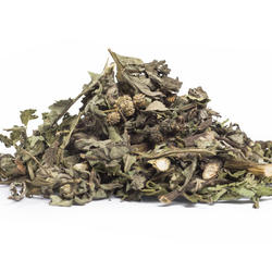 Altamisa (Ambrosia Peruviana) – Herb