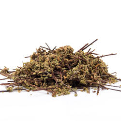 Asplenium Lunulatum – Herb
