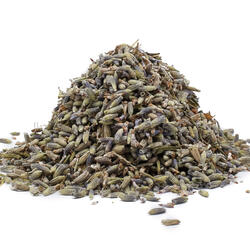Lavender Flower (Lavandula Angustifolia) – Herb
