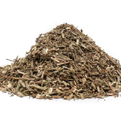 Verbena (Herba Verbenae) – Herb