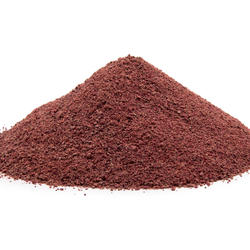 Beetroot (Beta Vulgaris) – Organic Powder