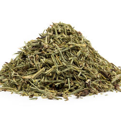 Horsetail (Equisetum Arvense) – Herb