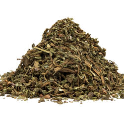 Lungwort (Pulmonaria officinalis) – Herb