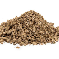 Elecampane Root (Inula Helenium) – Herb