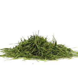 Bamboo Leaves – Herb