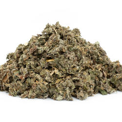 Burdock Leaves (Arctium Lappa) – Herb