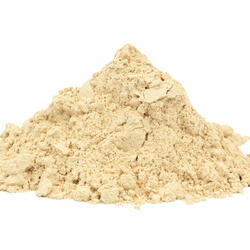 Shiitake – Organic Mushroom Powder