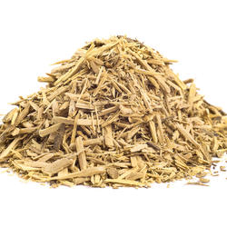 Muirapuama (Ptychopetalum) – Herb