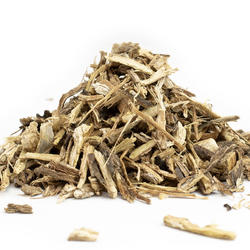 Burdock Root (Arctium Lappa) – Herb