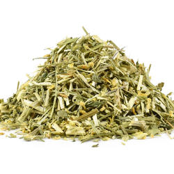 Sweet Yellow Clover (Melilotus Officinalis) – Herb