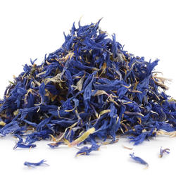 Cornflower (Centaurea Cyanus) – Herb