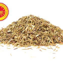Organic Green Rooibos – Long Cut