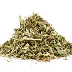 Blackberry Leaves (Rubi Fruticosi Folium) – Herb
