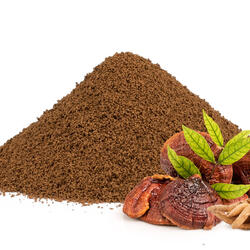 Chicory Coffee with Reishi & Shatavari