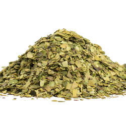 Guayusa
