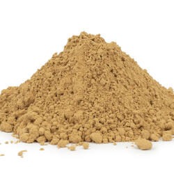 Maitake (Grifola Frondosa) – Organic Mushroom Powder