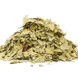 Senna Leaves (Cassia Angustifolia) – Herb