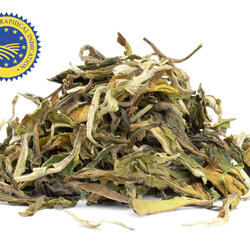 Darjeeling Moonlight Upper Fagu First Flush – Black Tea