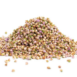 Heather Blooms (Calluna vulgaris flos) – Herb