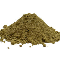 Imuno Tandem – Organic Matcha & Adaptogenic Mushrooms