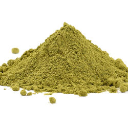 Brazil Yerba Maté Green – Organic Maté Powder