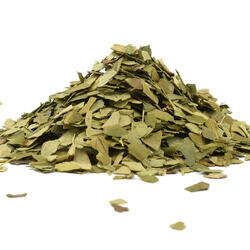 Brazil Aged Yerba Mate São João – Organic Yerba Maté