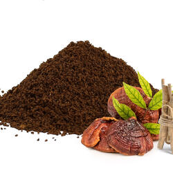 Adaptogenic Decaf Coffee with Reishi & Ashwagandha - Only Ground