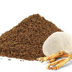 Adaptogen Coffee with Ginseng & Lion’s Mane - Only Ground