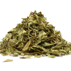Lemon Verbena Leaf (Aloysia Citrodora) – Herb