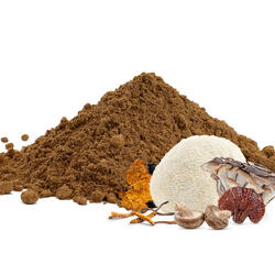 6 Adaptogenic Mushrooms Complex BIO – Powder