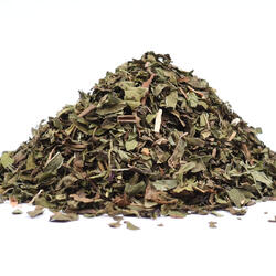 Peppermint (Mentha Piperita) – Herb
