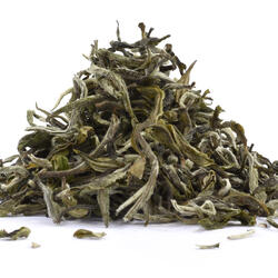 Nepal White Prakash – Organic White Tea
