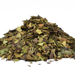Guayusa
